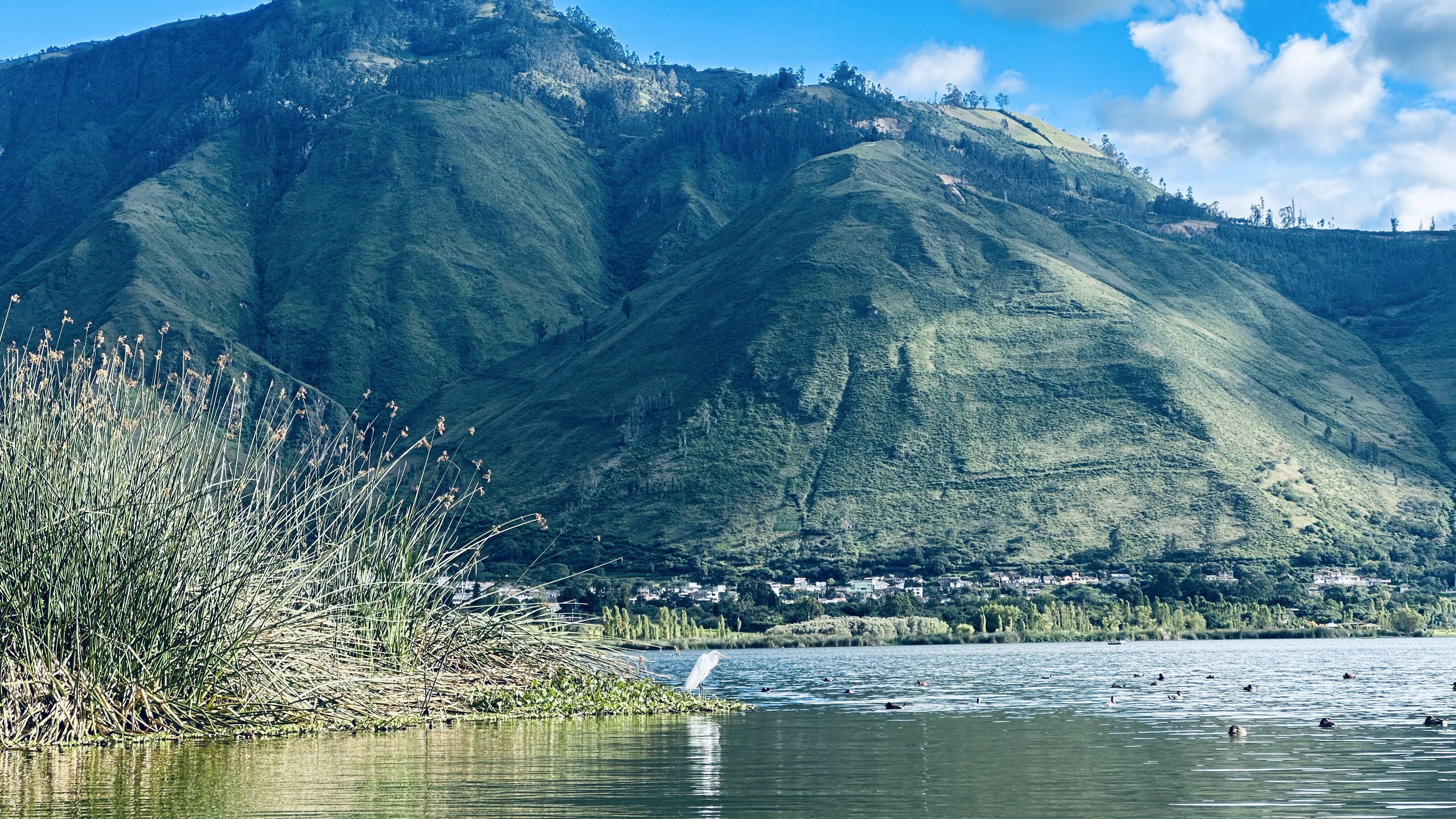 A tranquil view of a lake with reeds in the foreground and green mountains under a bright sky.