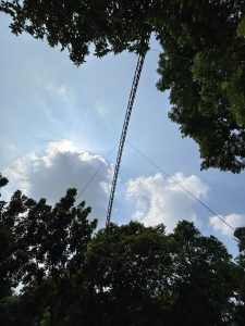 A tall pole with wires surrounded by green trees under a blue sky with white clouds.
