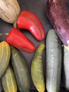 A collection of various vegetables is arranged on a dark surface. Prominent are two bright red bell peppers, slightly curved and smooth, positioned near the center. Surrounding them are several cucumbers in different shades of green, some with stripes and others plain. An elongated, lighter green cucumber also lies among them, showcasing a bumpy te