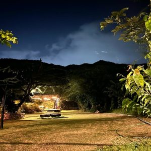 From serene night skies to quiet moments in bloom—capturing the evening's peaceful rhythm.